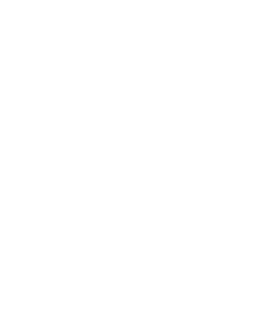 EFFA Logo